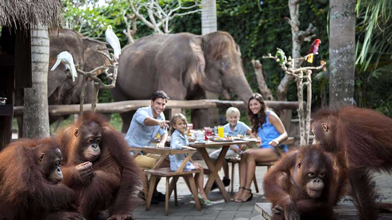 Cave Lazy Tubing and Breakfast with Orangutans