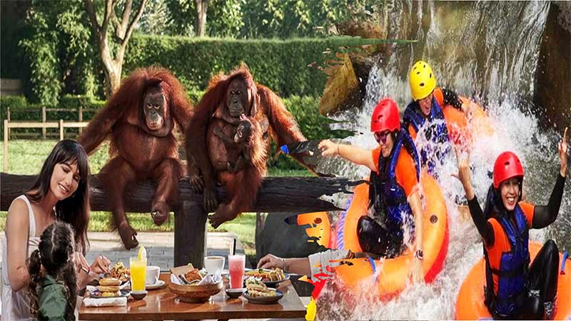 Cave Lazy Tubing and Breakfast with Orangutans